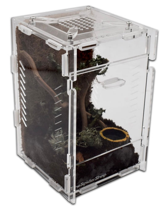 Acrylic Aboreal Terrarium Small Flat Packed