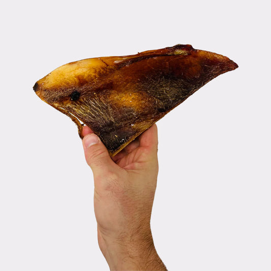 Large Beef Moonbone Natural Dog Treat