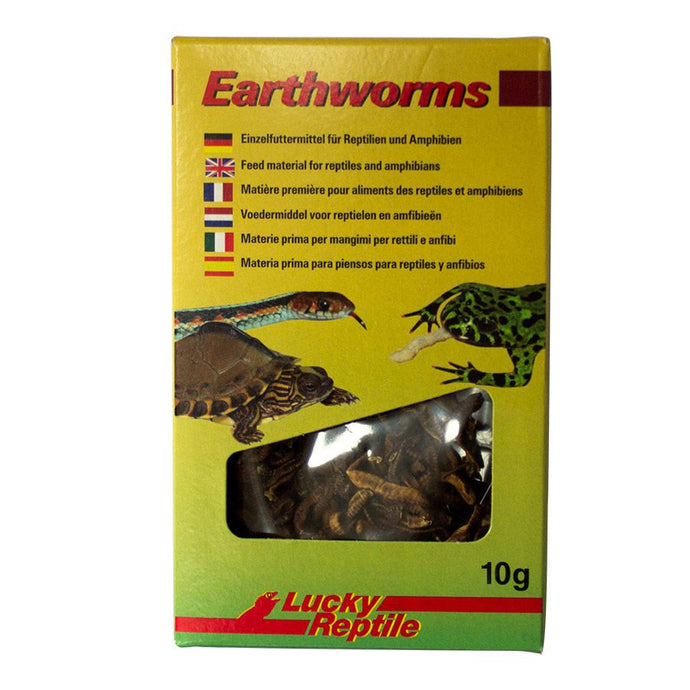 Lucky Reptile Earthworms 10g E-20