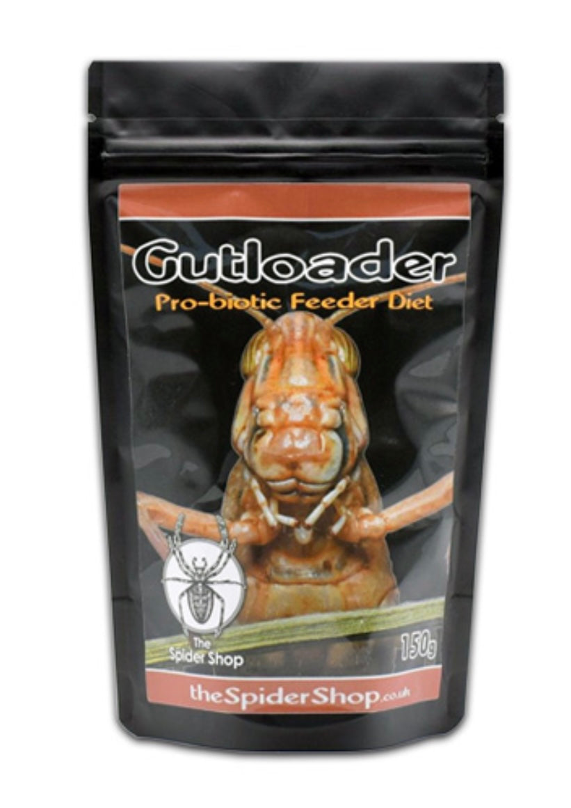 Gutloader Feeder Diet 150g