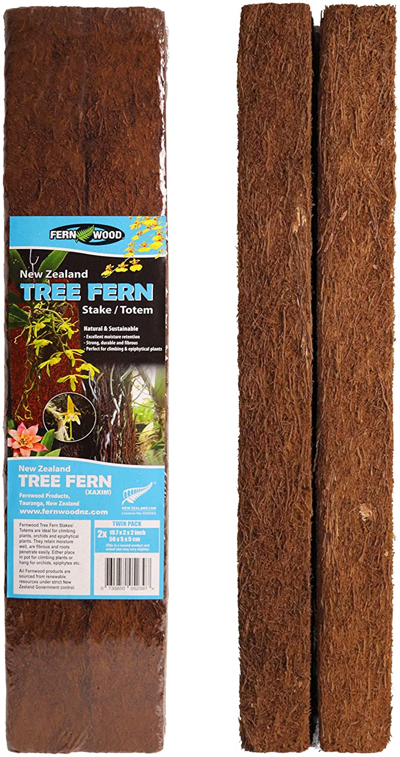 Fern Wood Tree Fern Totems