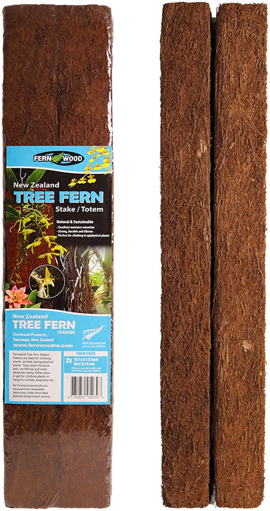 Fern Wood Tree Fern Totems