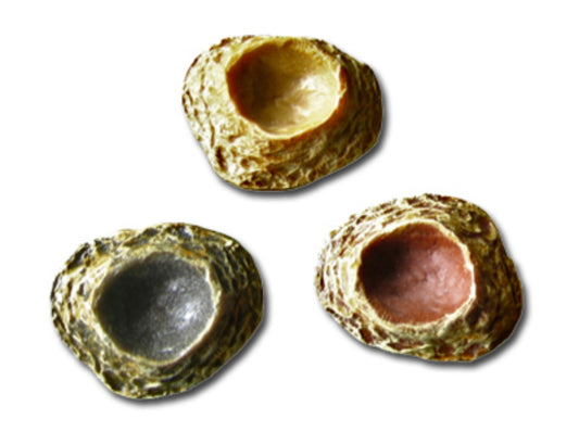 6 Micro Water Bowls - Spiderlings