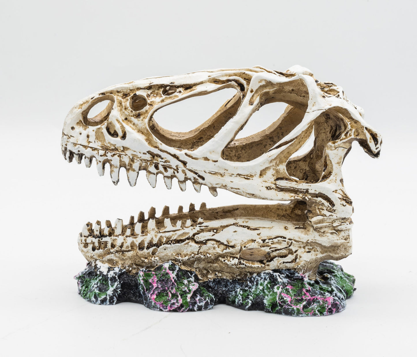 Pro Rep PR Allosaurus Skull 12.5x6x10cm