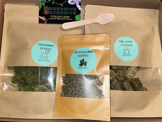 Tortoise Leaf Lover Letterbox Treat Gift Box Forgage Pellets Fibre Mulberry Leaves BlackBerry Leaves Natural Dried