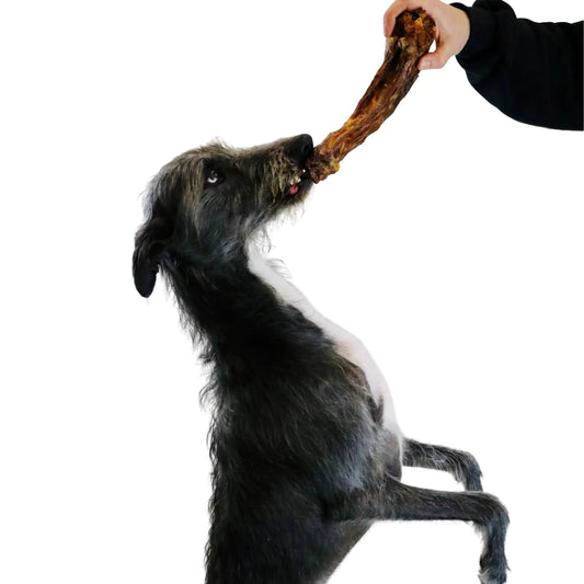 Large Turkey Neck Natural Dog Treat