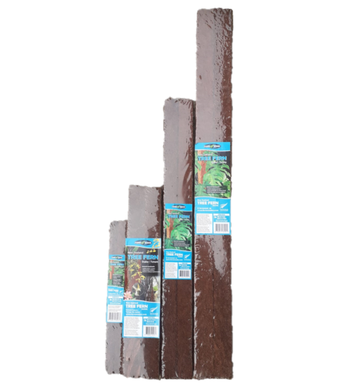 Fern Wood Tree Fern Totems