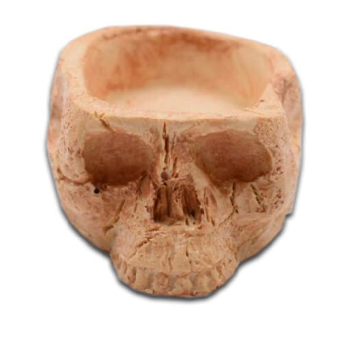 Human Skull Bowl Resin Micro