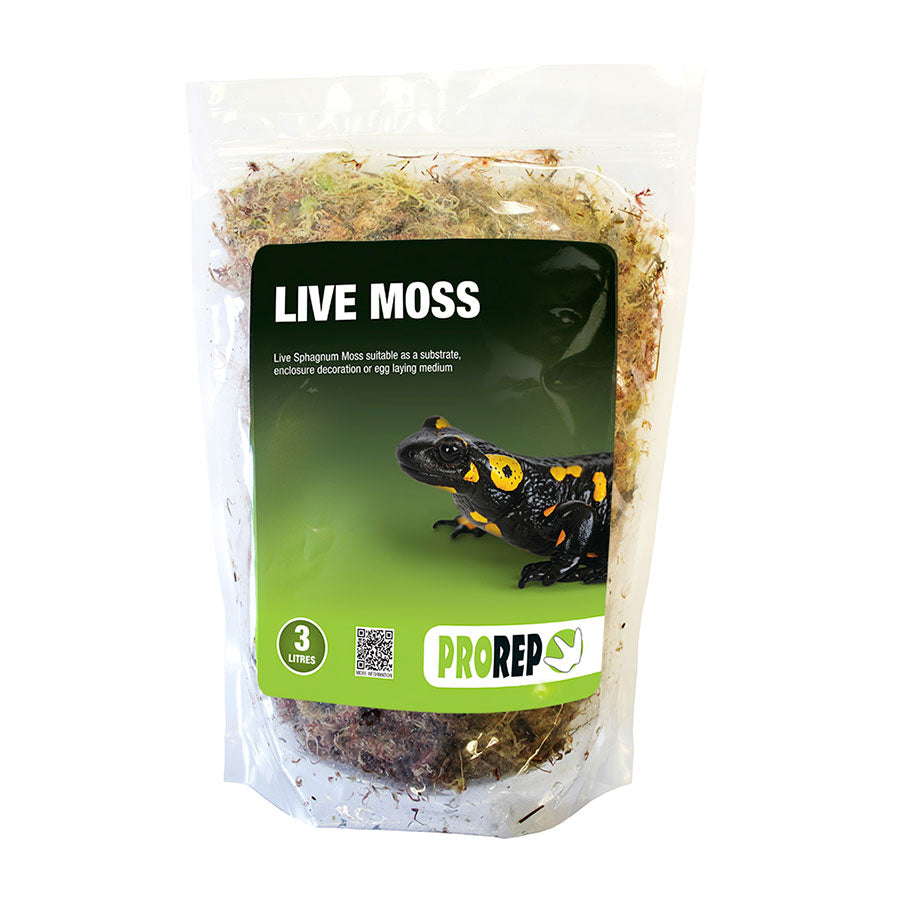 Pro Rep live Moss