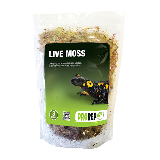 Pro Rep live Moss