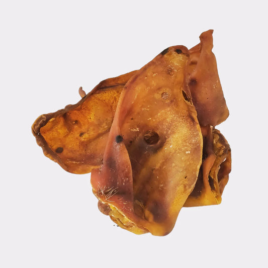Small Pigs Ear Natural Dog Treat Chew